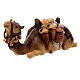 Camel lying, 11 cm nativity Rainell, in painted Val Gardena wood s2