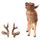 Deer in painted wood from Valgardena for Rainell Nativity Scene 11 cm s4