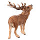 Cerf bois peint crèche Rainell 11 cm Val Gardena s5