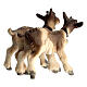 Two baby goats, 11 cm nativity Rainell, in painted Val Gardena wood s3