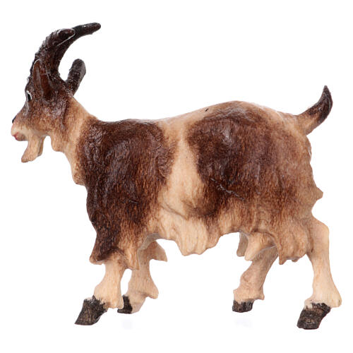 Standing goat in painted wood from Valgardena for Rainell Nativity Scene 9 cm 3