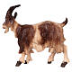 Standing goat in painted wood from Valgardena for Rainell Nativity Scene 9 cm s3