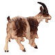 Cabra cabeza alta madera pintada belén Rainell 9 cm Val Gardena s2