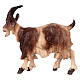 Cabra cabeza alta madera pintada belén Rainell 9 cm Val Gardena s3