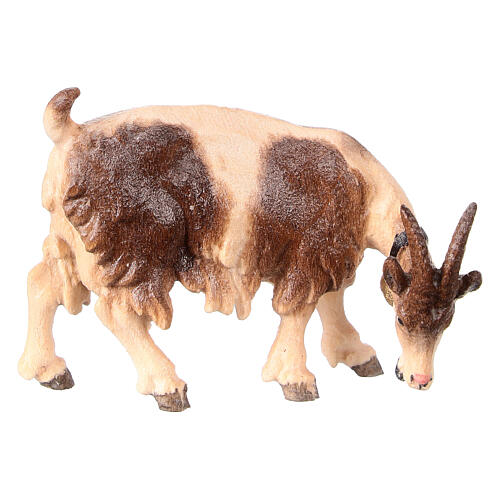 Eating goat looking to its right in painted wood from Valgardena for Rainell Nativity Scene 11 cm 1