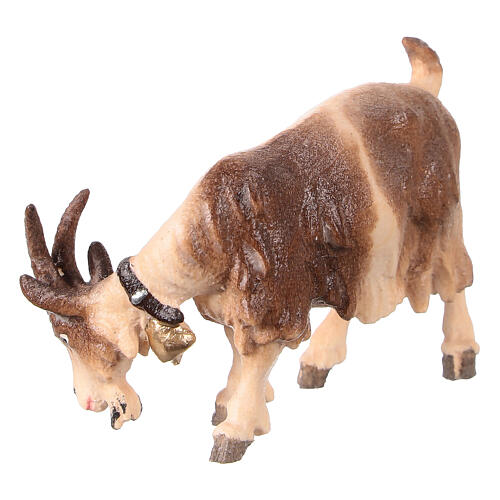 Eating goat looking to its right in painted wood from Valgardena for Rainell Nativity Scene 11 cm 3