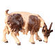 Capra mangia testa a destra legno dipinto Val Gardena presepe Rainell 11 cm s1