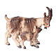 Capra con capretta legno dipinto presepe Rainell 9 cm Valgardena s1