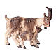 Cabra com cabrito madeira pintada para presépio Rainell figuras altura média 9 cm Val Gardena s1