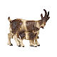 Brown goat with kid, 9 cm nativity Rainell, in painted Valgardena wood s1