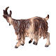 Brown goat with kid, 9 cm nativity Rainell, in painted Valgardena wood s2