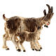 Cabra con cabrita madera pintada belén Val Gardena Rainell 11 cm s1