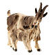 Cabra con cabrita madera pintada belén Val Gardena Rainell 11 cm s2