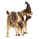 Cabra con cabrita madera pintada belén Val Gardena Rainell 11 cm s4