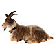 Capra sdraiata legno dipinto presepe Val Gardena Rainell 11 cm s1