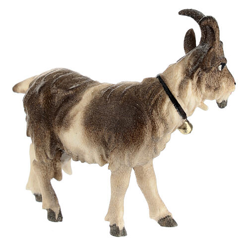 Capra testa a sinistra legno dipinto Val Gardena presepe Rainell 11 cm 3