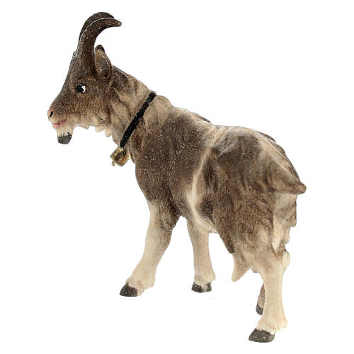 Capra testa a sinistra legno dipinto Val Gardena presepe Rainell 11 cm 4