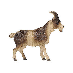 Chèvre poil court bois peint crèche Rainell Val Gardena 9 cm