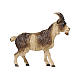 Brown goat with short hair, 9 cm nativity Rainell, in painted Valgardena wood s1