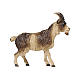 Chèvre poil court bois peint crèche Rainell Val Gardena 11 cm s1