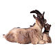 Capra sdraiata con caprette legno dipinto presepe Rainell 9 cm Valgardena s2
