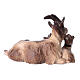 Goat with two kids, 9 cm nativity Rainell, in painted Valgardena wood s2