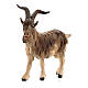 Billy goat in painted wood from Valgardena for Rainell Nativity Scene 9 cm s2