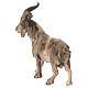 Bouc bois peint crèche Rainell Val Gardena 11 cm s3