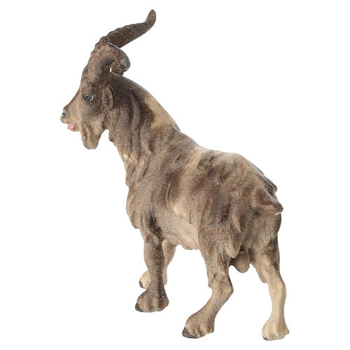 Caprone legno dipinto presepe Val Gardena Rainell 11 cm 3