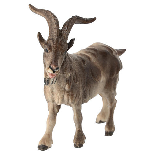 Billygoat, 11 cm nativity Rainell, in painted Val Gardena wood 2