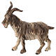 Billygoat, 11 cm nativity Rainell, in painted Val Gardena wood s1