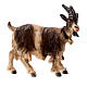 Goat looking to its right in painted wood from Valgardena for Rainell Nativity Scene 9 cm s1