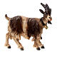 Goat with facing right, 9 cm nativity Rainell, in painted Valgardena wood s1