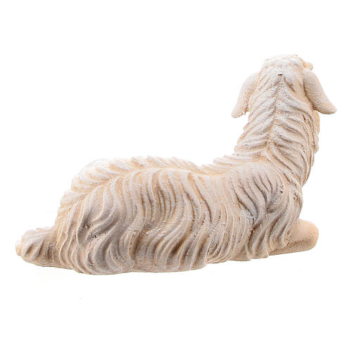 Lying sheep looking to its right in painted wood from Valgardena for Rainell Nativity Scene 9 cm 4