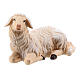 Lying sheep looking to its right in painted wood from Valgardena for Rainell Nativity Scene 9 cm s2