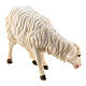 Mouton qui mange tête à gauche bois peint crèche Rainell Val Gardena 9 cm s2