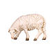 Schaf beim Weiden Kopf links Grödnertal Holz für Krippe Rainell 11cm s2