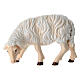 Eating sheep looking to its left in painted wood from Valgardena for Rainell Nativity Scene 11 cm s1