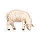 White sheep grazing to the right, 9 cm nativity Rainell, in painted Valgardena wood s1