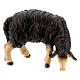 Mouton noir qui mange bois peint crèche Rainell Val Gardena 11 cm s1