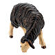 Owca czarna jedząca drewno malowane Val Gardena szopka Rainell 11 cm s2