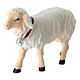Mouton qui marche bois peint crèche Rainell Val Gardena 9 cm s2