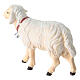 White sheep walking, 9 cm nativity Rainell, in painted Val Gardena wood s4