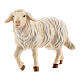White sheep looking straight, 9 cm nativity Rainell, in painted Valgardena wood s2