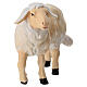 Standing sheep in painted wood from Val Gardena for Rainell Nativity Scene 11 cm s2