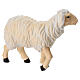 Standing sheep in painted wood from Val Gardena for Rainell Nativity Scene 11 cm s3