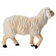 Standing sheep in painted wood from Val Gardena for Rainell Nativity Scene 11 cm s4