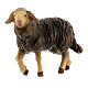 Mouton noir tête haute bois peint crèche Rainell Val Gardena 9 cm s2