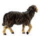 Mouton noir tête haute bois peint crèche Rainell Val Gardena 9 cm s3