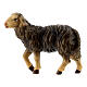 Mouton noir tête haute bois peint crèche Rainell Val Gardena 11 cm s1